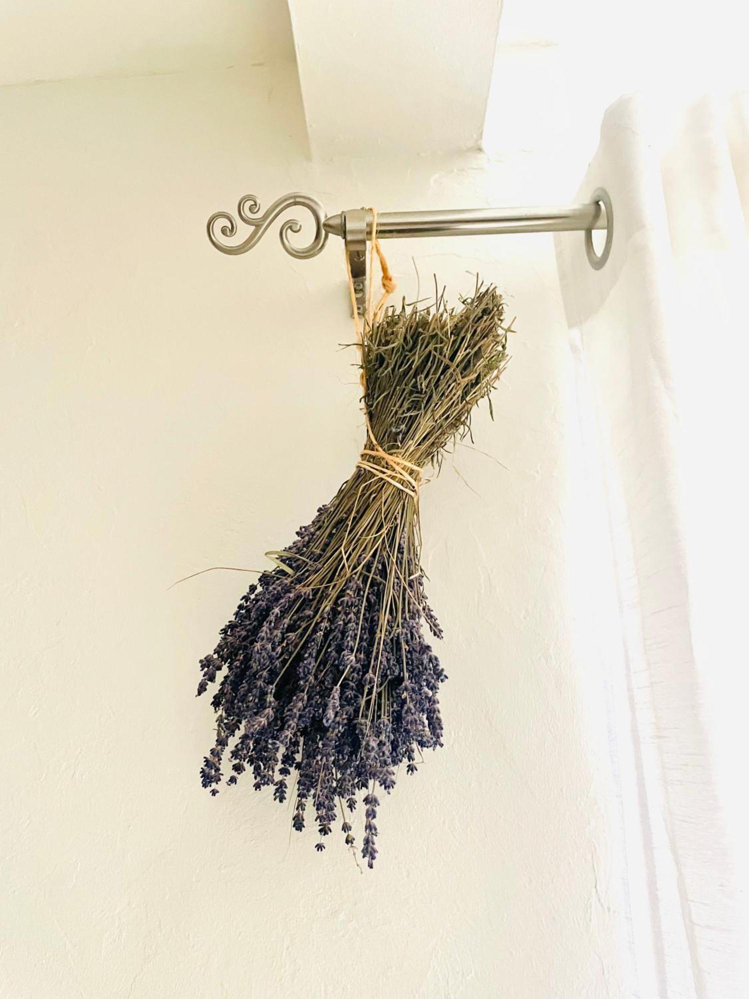 Maison Lina Apartment Sault
